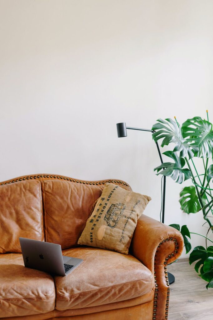 Leather sofa cleaning